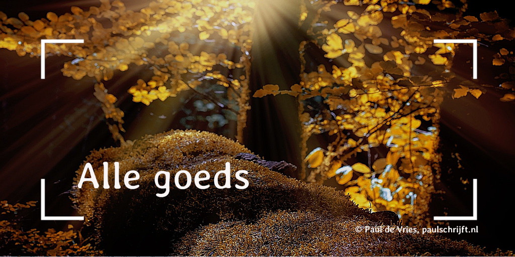 Alle Goeds Er wordt iemand onrecht aangedaan waar je met de beste wil van de wereld geen begrip voor kunt opbrengen, omdat ze te jong is en nog zoveel moet doen. Had willen doen. En niet meer mag doen.