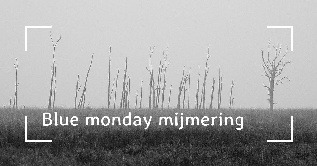 Zwart-wit afbeelding van bomen in een weiland in de mist, passend bij een 'Blue Monday Mijmering'.