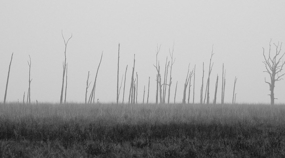 Blue monday mijmering