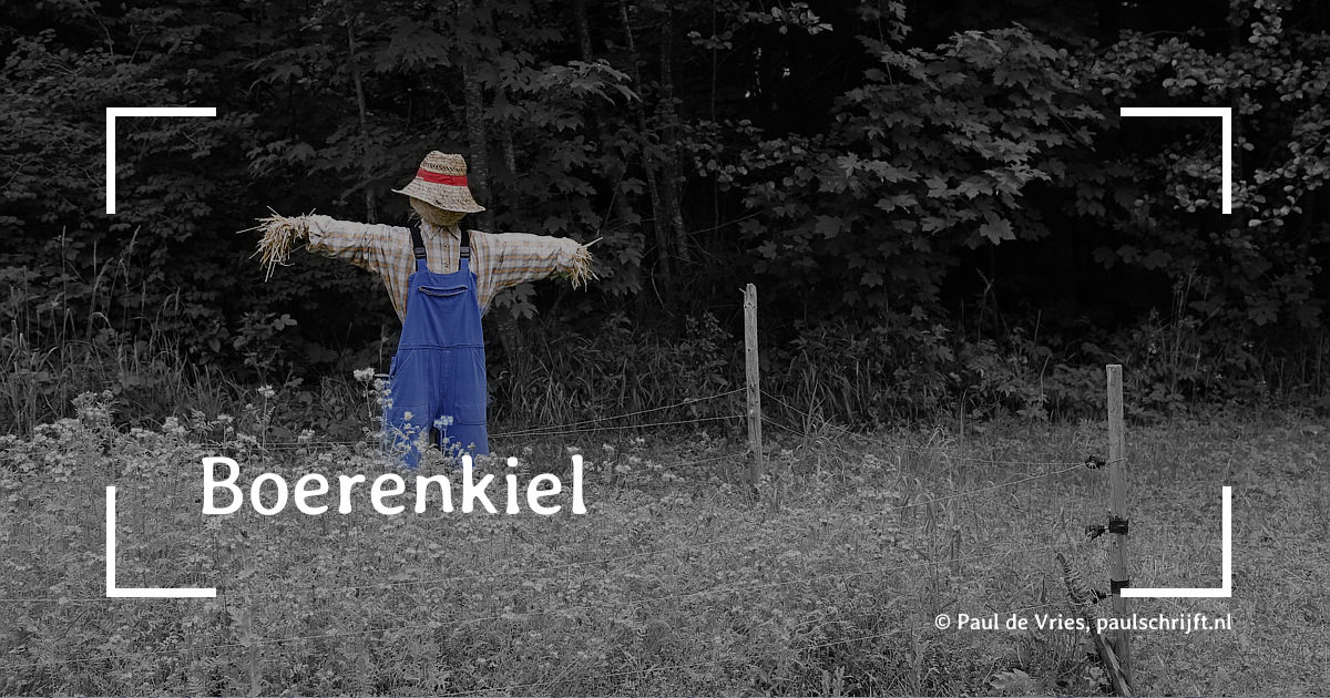 Een vogelverschrikker bij het versje 'Boerenkiel' van Paul de Vries Schrijft Een vogelverschrikker bij het versje 'Boerenkiel' van Paul de Vries Schrijft