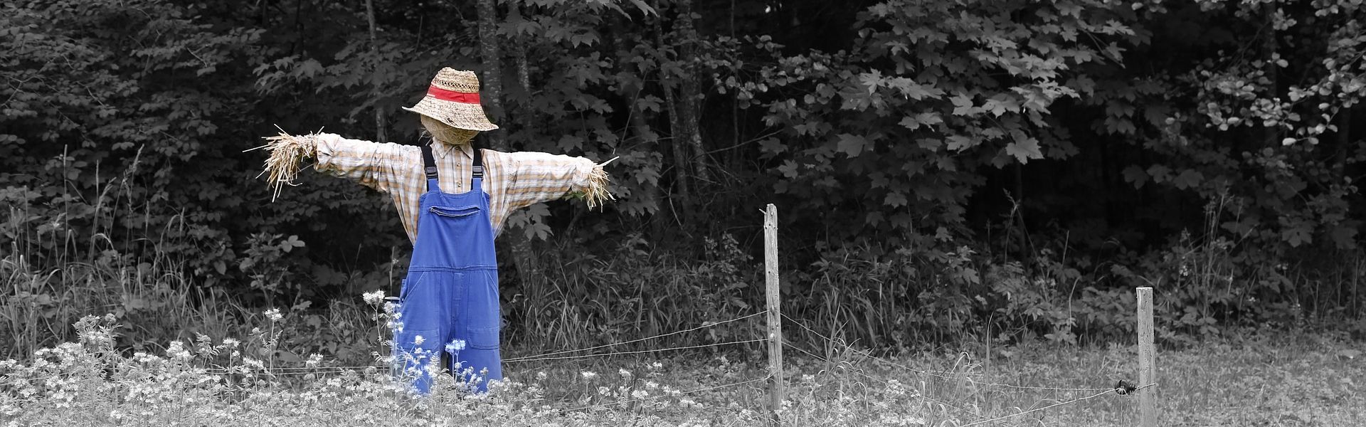 Een vogelverschrikker bij het versje ‘Boerenkiel’ van Paul de Vries Schrijft Een vogelverschrikker bij het versje 'Boerenkiel' van Paul de Vries Schrijft