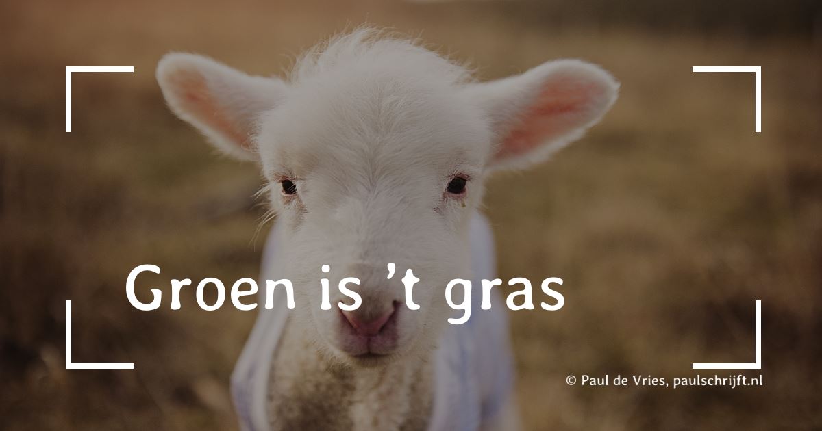 Lammetje in de wei Lammetje in de wei door Kat Jayne, versje "Groen is ’t gras" door Paul de Vries Schrijft