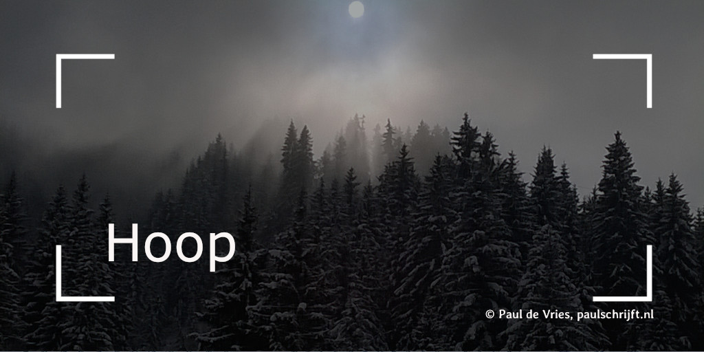 Besneeuwde bomen in de mist Besneeuwde bomen in de mist bij het versje 'Hoop' van Paul de Vries