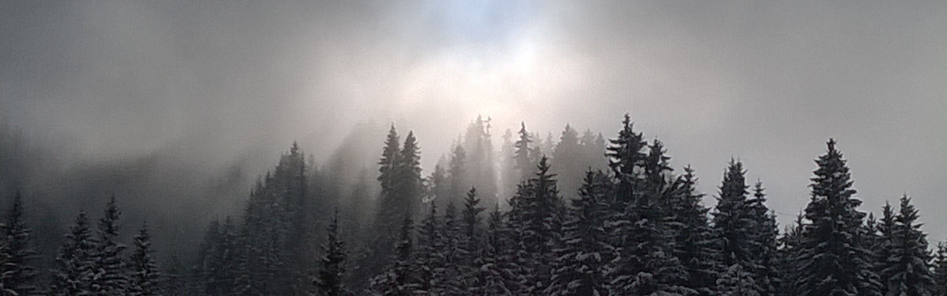 Besneeuwde bomen in de mist Besneeuwde bomen in de mist bij het versje 'Hoop' van Paul de Vries