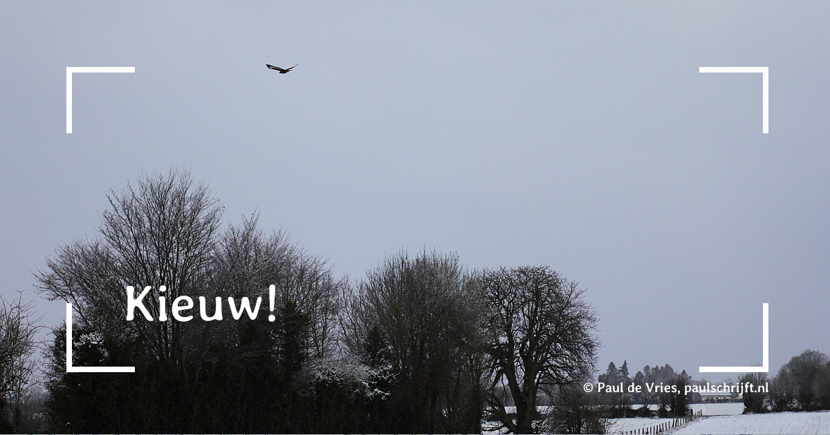 Buizer bij de column 'Kieuw' van Paul Schrijft, foto door stanzebla op flickr Buizer bij de column 'Kieuw' van Paul de Vries, foto door stanzebla op flickr