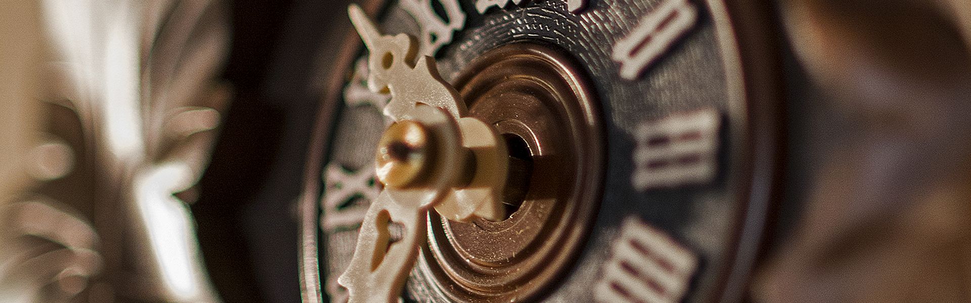 Koekoeksklok een vers van Paul de Vries Schrijft Afbeelding van een Koekoeksklok bij een vers van Paul Schrijft