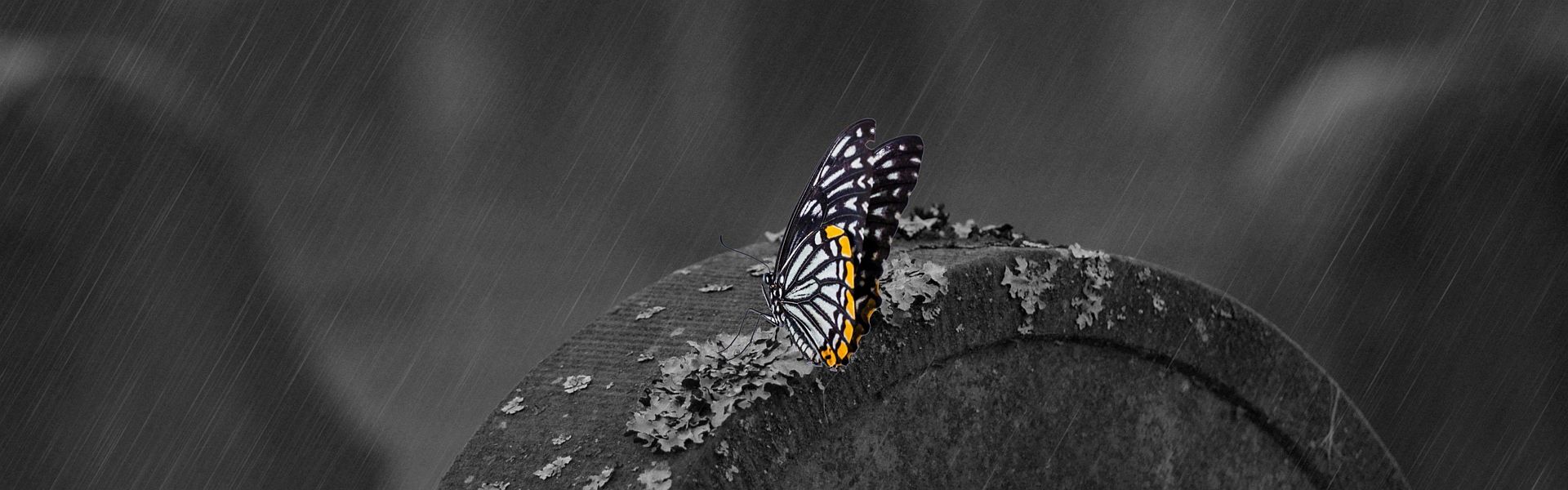 Vlinder op een grafsteen door Huskyherz Vlinder op een grafsteen bij het versje 'Laatste ademhaling' van Paul Schrijft