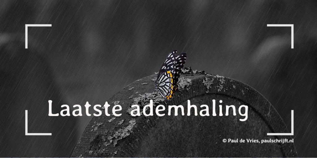 Vlinder op een grafsteen door Huskyherz Vlinder op een grafsteen bij het versje 'Laatste ademhaling' van Paul Schrijft