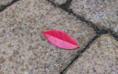 Lippen op beton