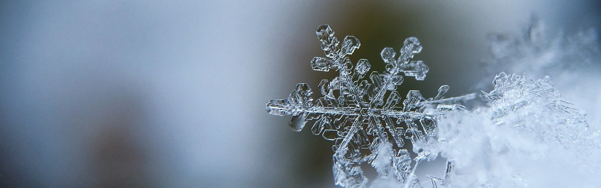 Sneeuwvlok Sneeuwvlok