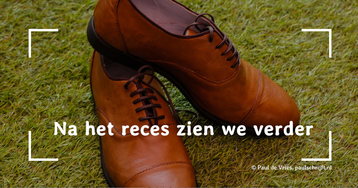 Na het reces zien we verder Nette bruine lederen schoenen passend bij de column 'Na het reces zien we verder' van Paul de Vries Schrijft