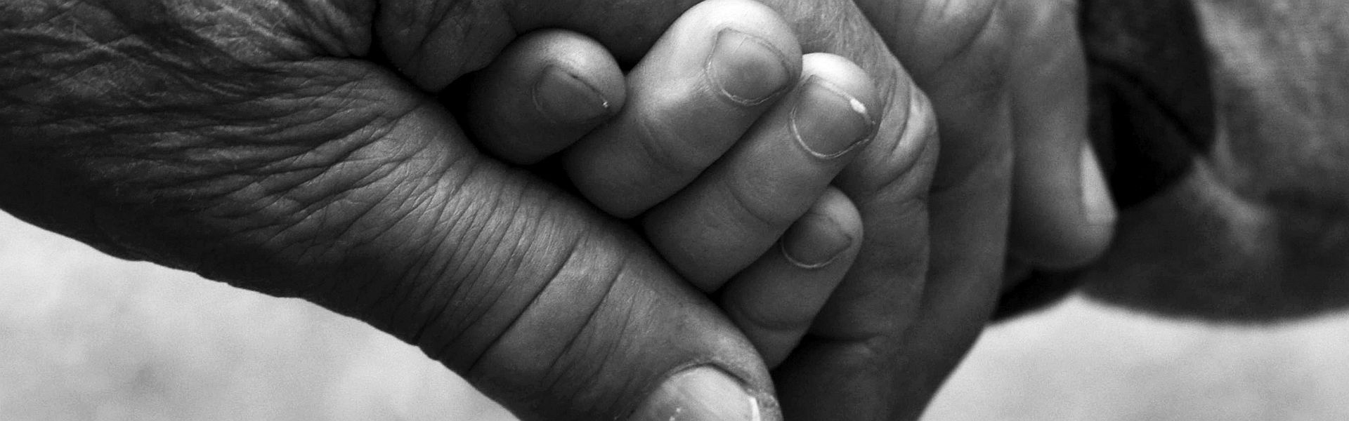 De hand van een oma en een kind De hand van een oma en een kind