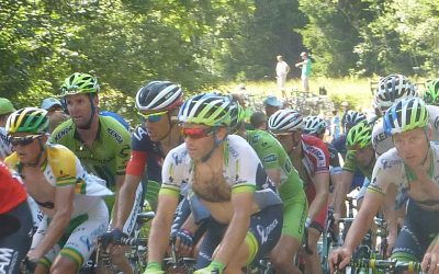 Bermfietsen