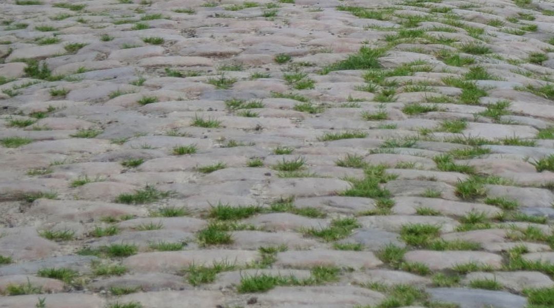 Van skaten en de Tour