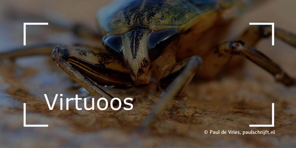 Kakkerlak Kakkerlak, bij het versje 'Virtuoos' van Paul Schrijft