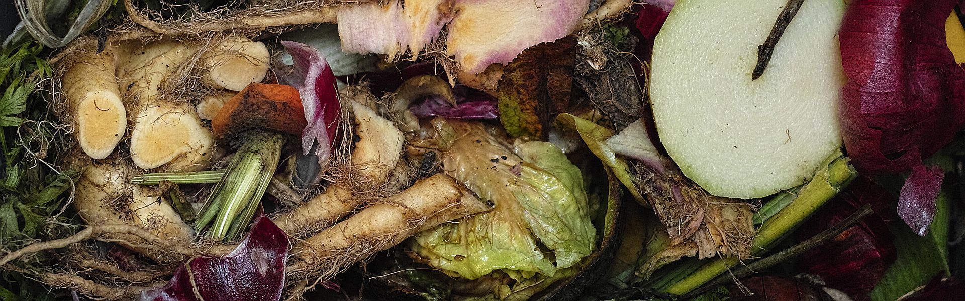 Compost SDIM0824 by Stefan Szczelkun – WorldFoodKliko Paul Schrijft Compost SDIM0824 by Stefan Szczelkun - WorldFoodKliko Paul Schrijft