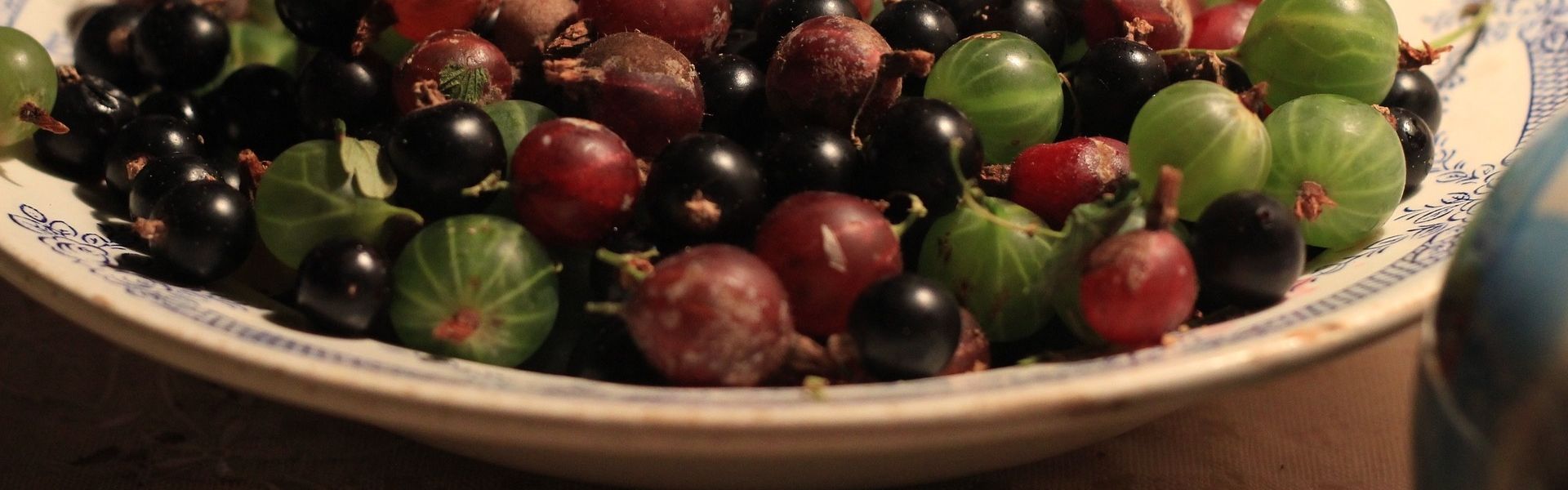 Bessen uit Stroe Een bord met verschillende bessen geplukt in Stroe