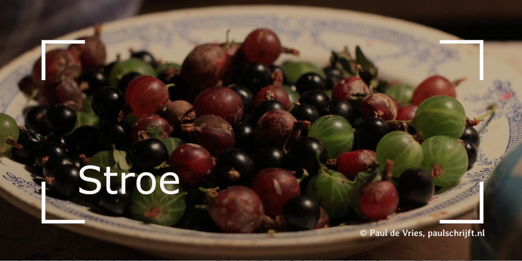 Bessen uit Stroe Een bord met verschillende bessen geplukt in Stroe