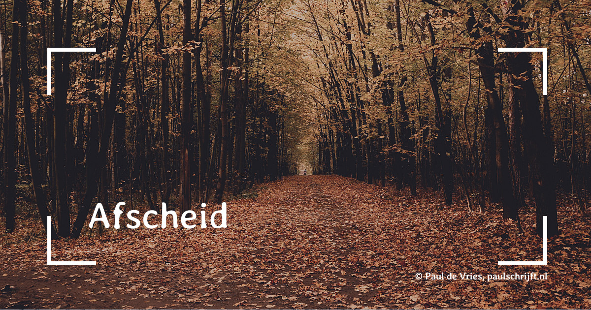 boslaan in de herfst bij de column 'Afscheid' van Paul Schrijft boslaan in de herfst bij de column 'Afscheid' van Paul Schrijft
