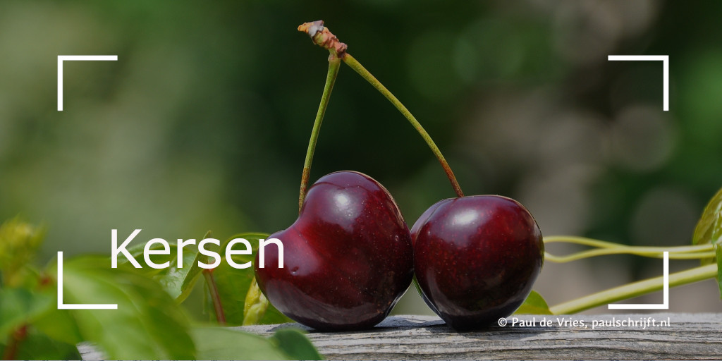 Kersen Kersen