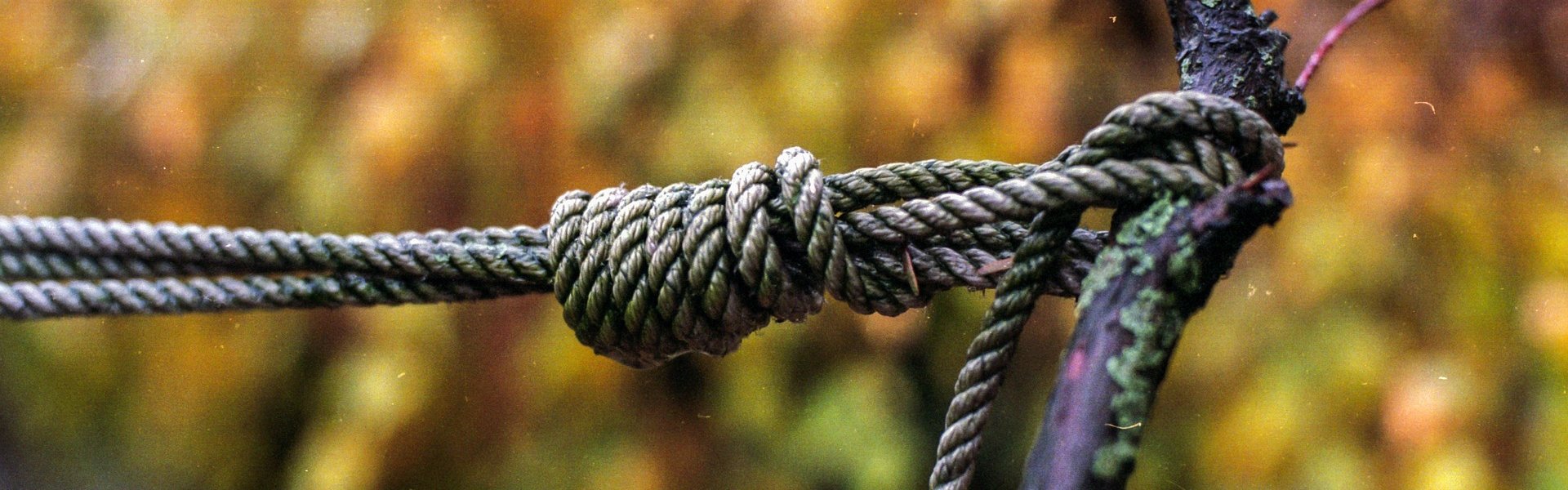 Jagers strik Strik van een jager, foto: Benjamin Balazs